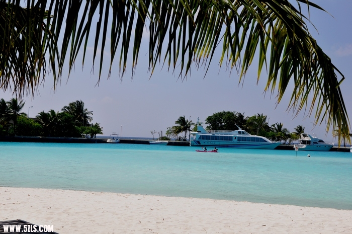 DSC_0240-1.jpg