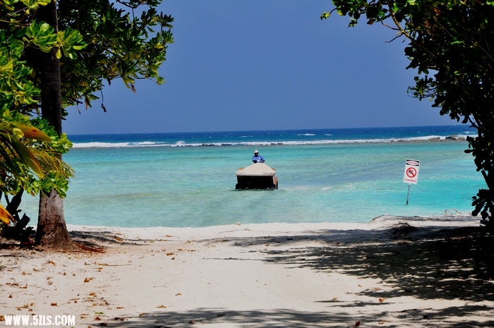 DSC_0248-1.jpg