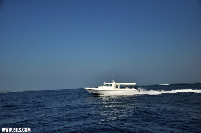 DSC_0270-1.jpg