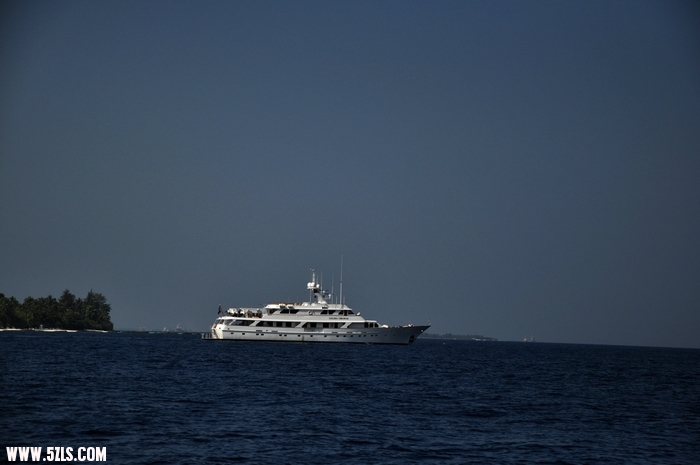 DSC_0271-1.jpg