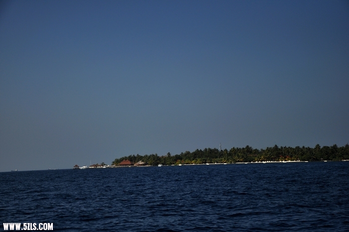 DSC_0272-1.jpg