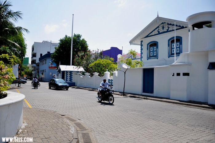 DSC_0311-1.jpg