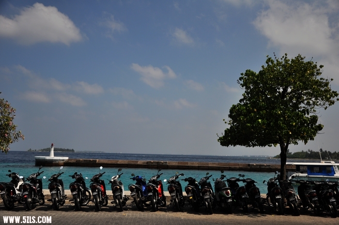 DSC_0325-1.jpg