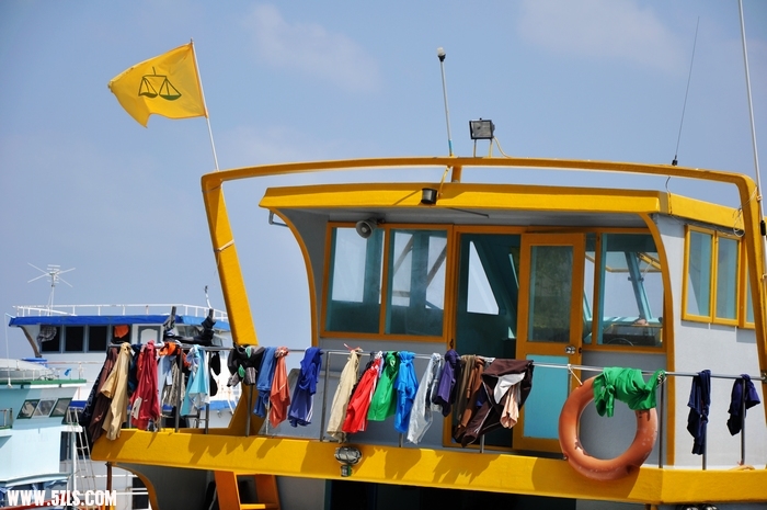 DSC_0333-1.jpg