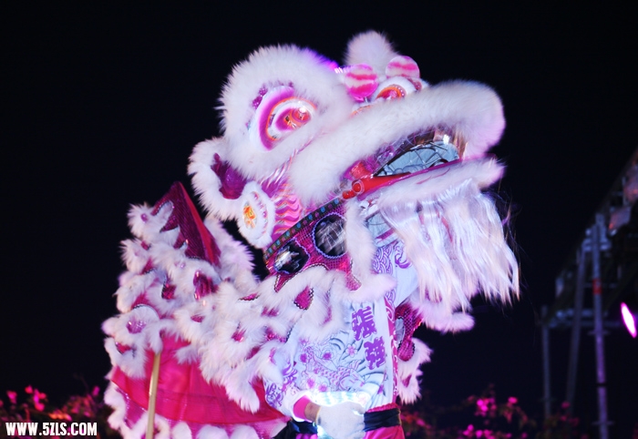 照片 917.jpg