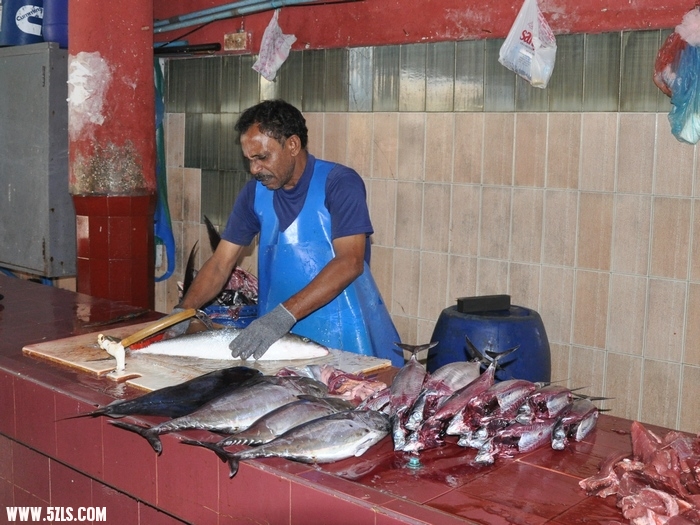DSC_0351-1.jpg
