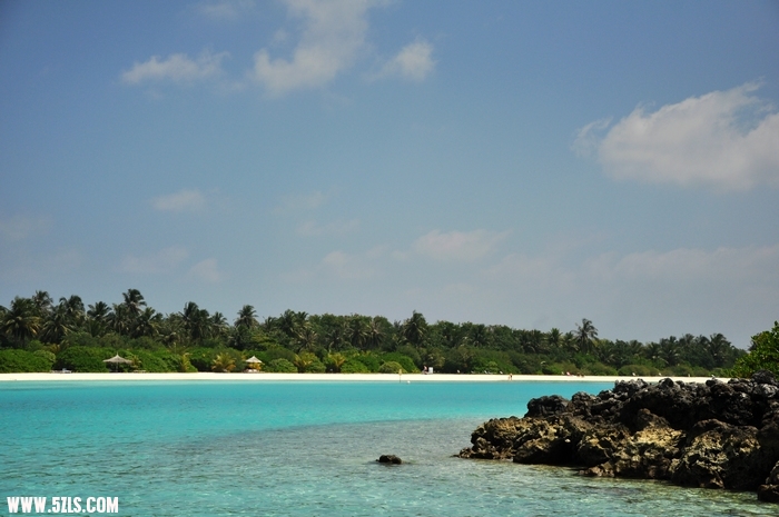 DSC_0377-1.jpg