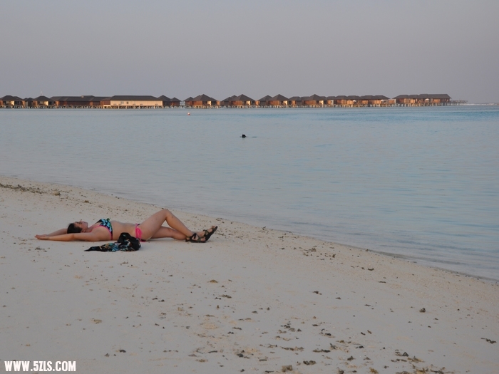 DSC_0403-1.jpg