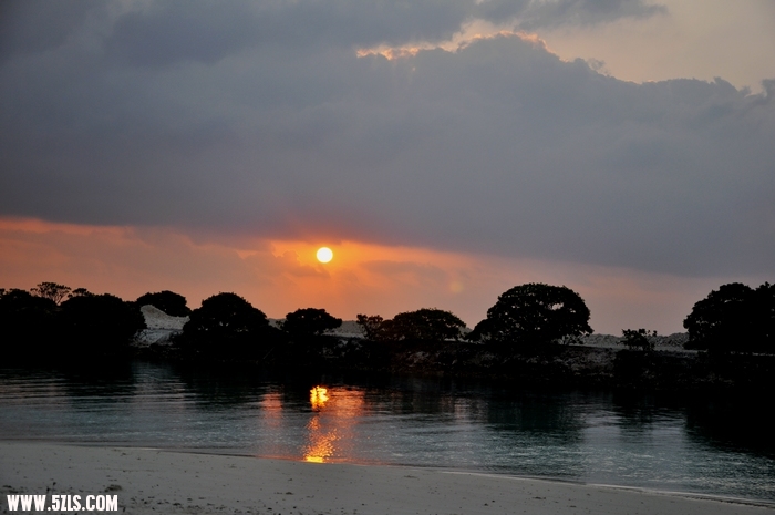 DSC_0444-1.jpg