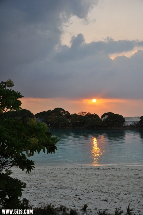 DSC_0446-1.jpg