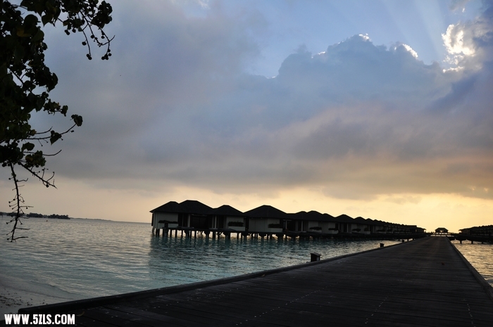 DSC_0462-1.jpg