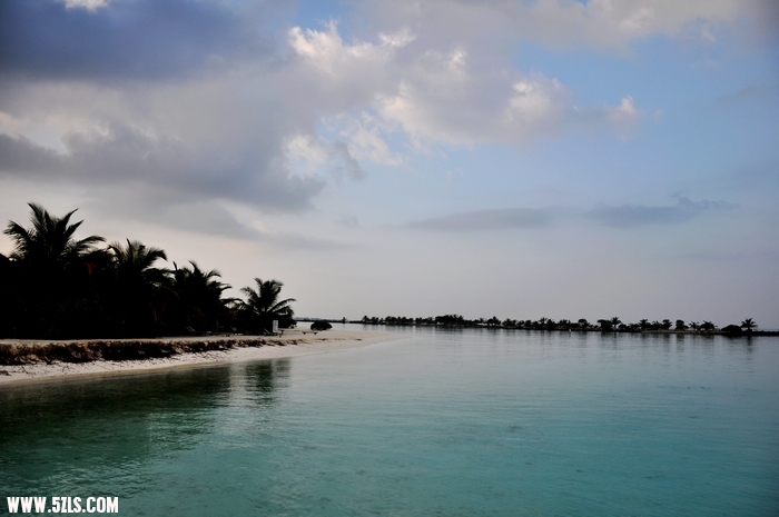 DSC_0473-1.jpg