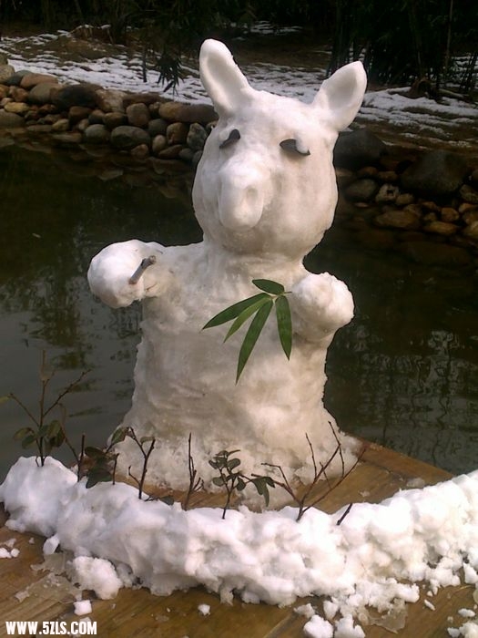 20091229458.jpg
