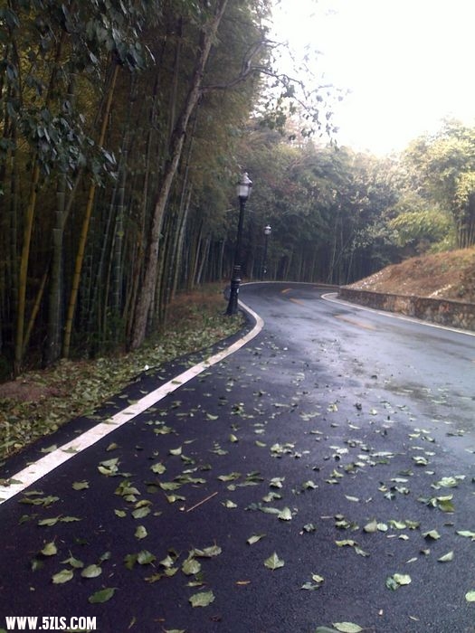 20091229500.jpg
