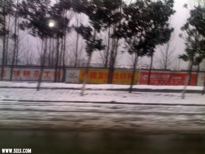 20100215566.jpg