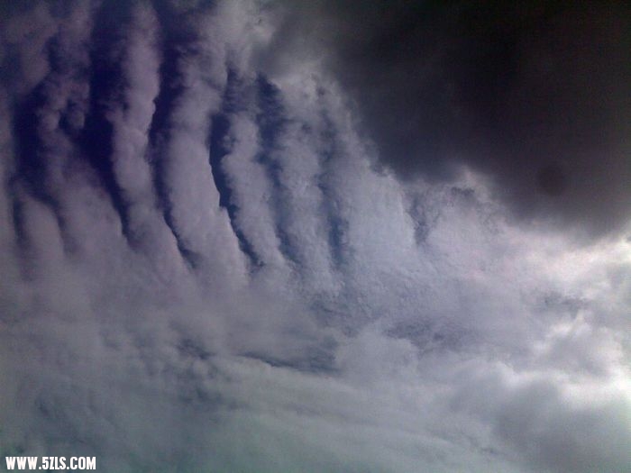 20100509777.jpg