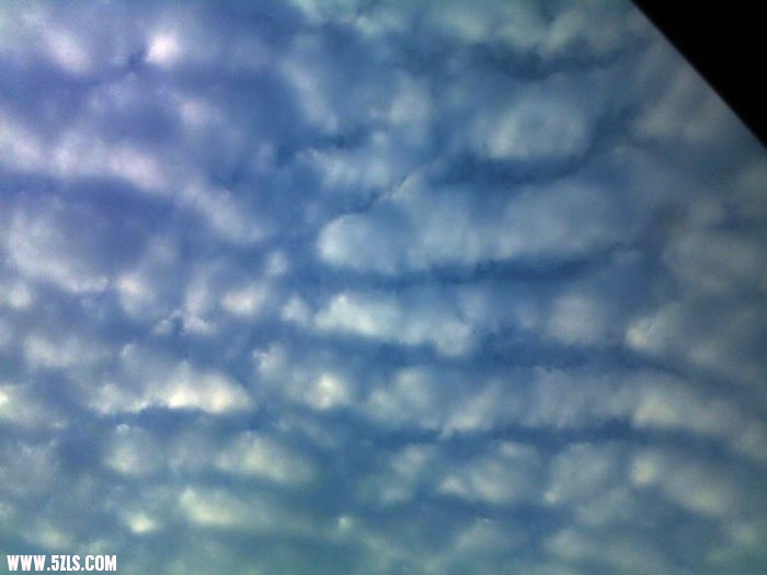 20100620904.jpg