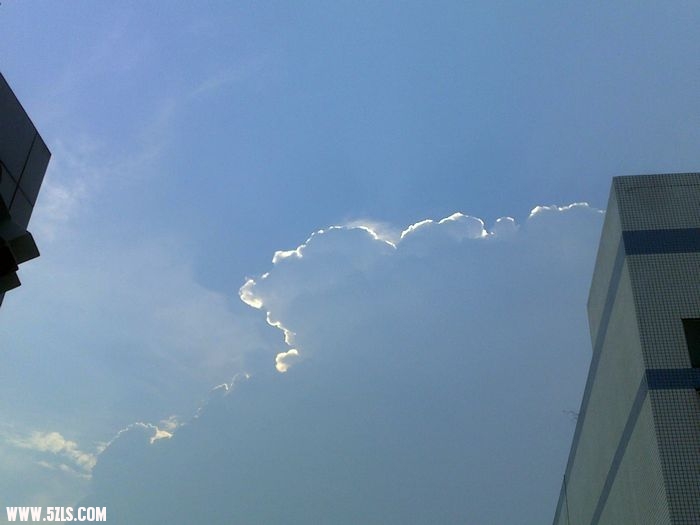 20100805983.jpg