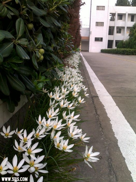 201009111096.jpg