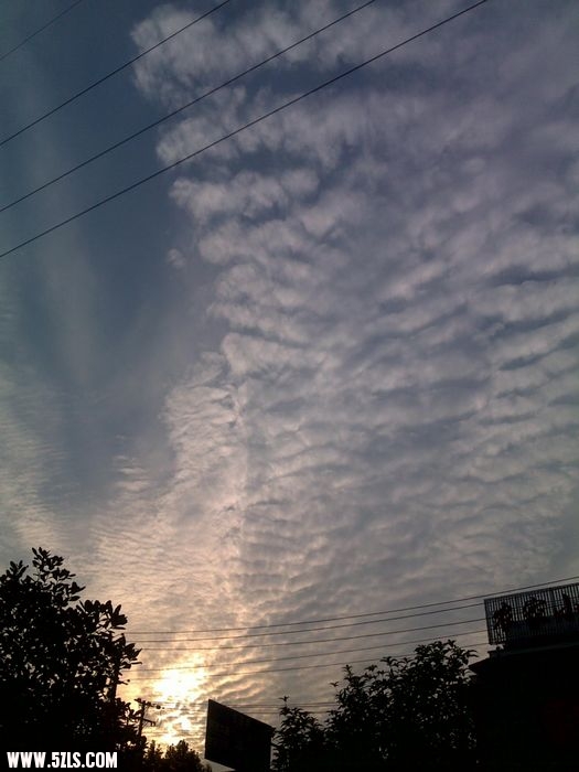 201009291151.jpg