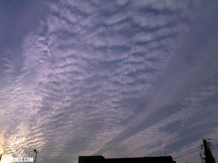 201009291154.jpg