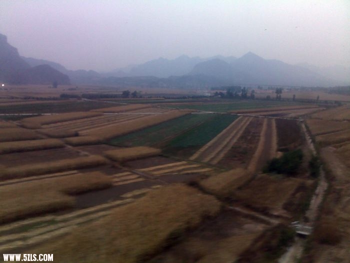 201010011164.jpg