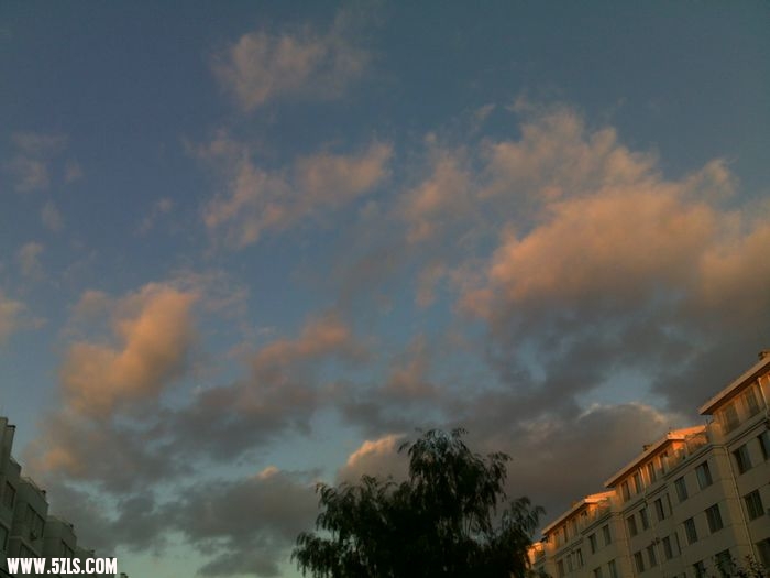 201010031172.jpg