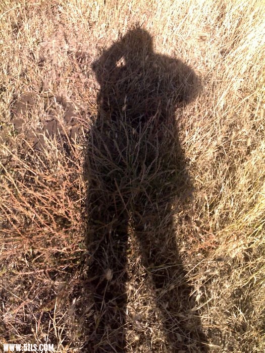201010041187.jpg