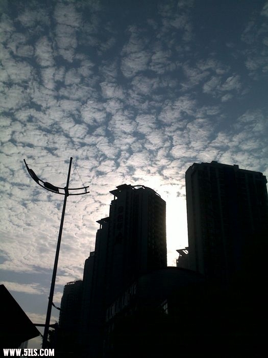 201011201315.jpg