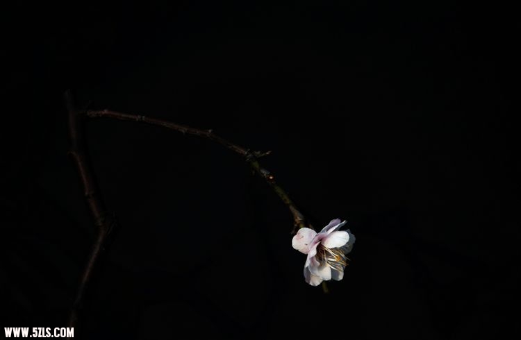 ÷ 024.jpg