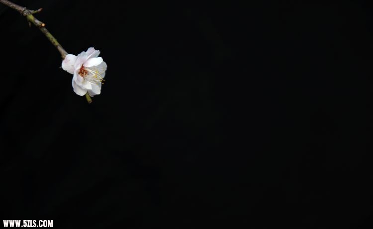 ÷ 014.jpg