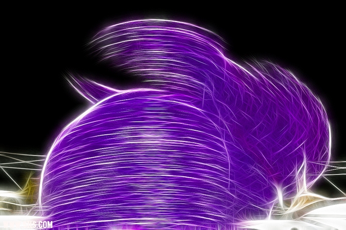 nEO_IMG__DSC0509.jpg