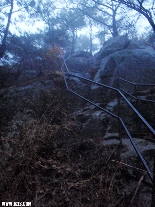 P2260505-1.jpg