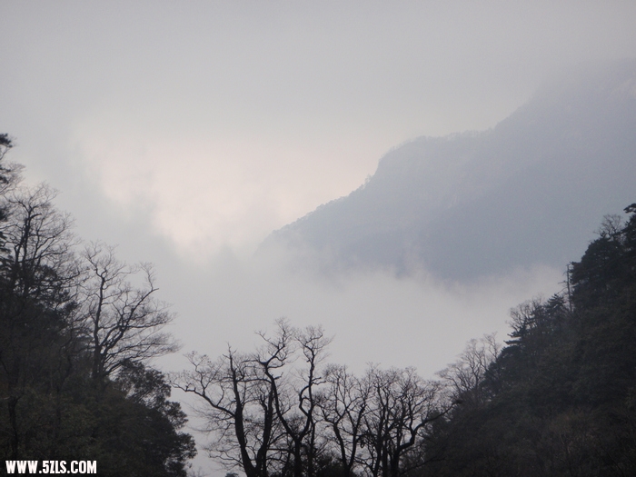 P2270514-1.jpg