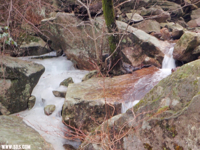 P2270512-1.jpg