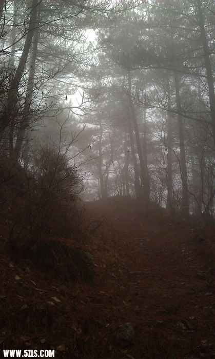 IMAG0013.jpg