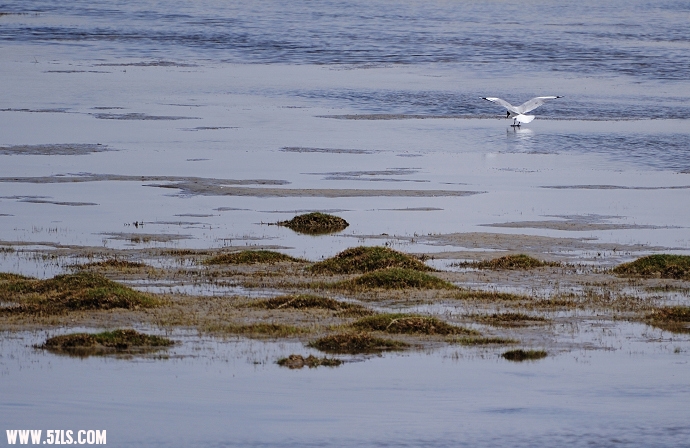 DSC_8101.jpg