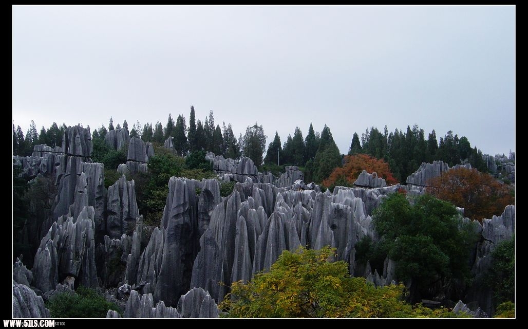 DSC02798.JPG