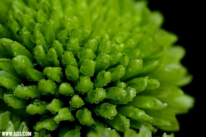 nEO_IMG__DSC0429a.jpg