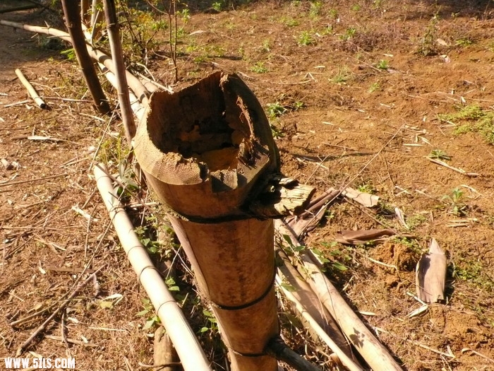 P1140566_СС.JPG