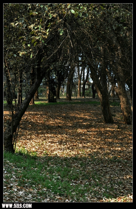 DSC_1747.jpg