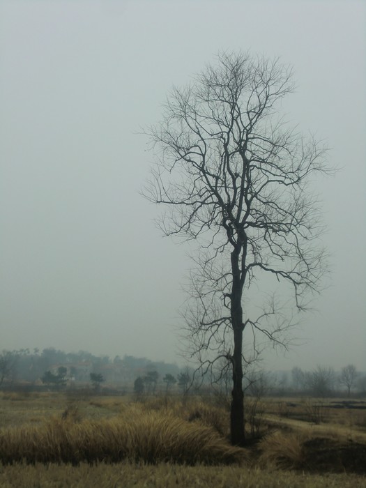 CIMG5064.JPG