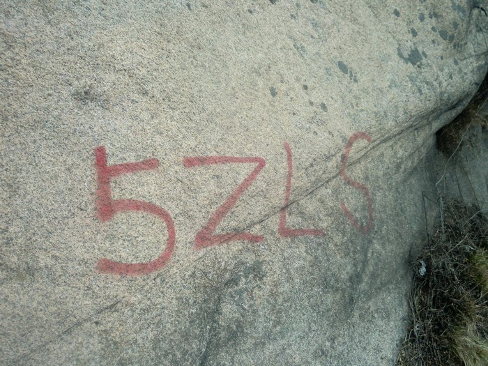 CIMG5156.JPG