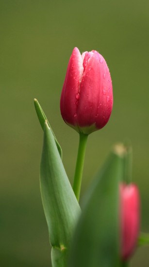 NT1AG%9J(TW{%D__~9PA[MB.jpg