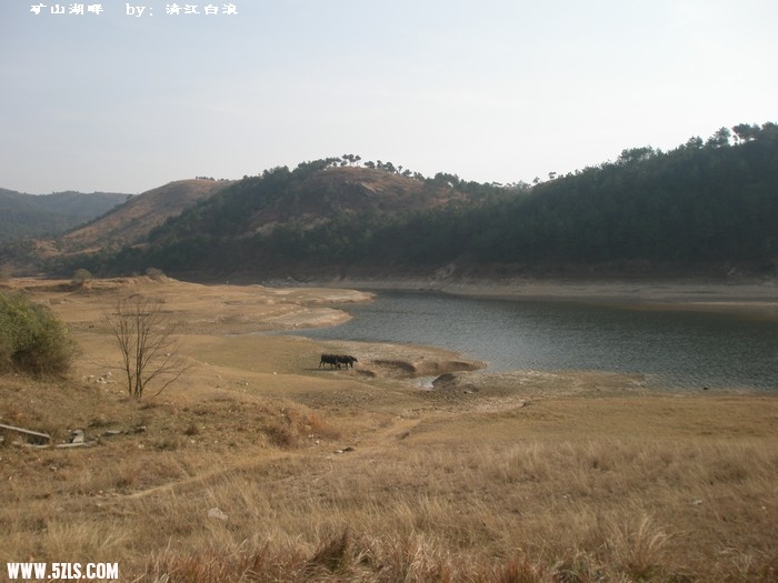 PB300133.jpg