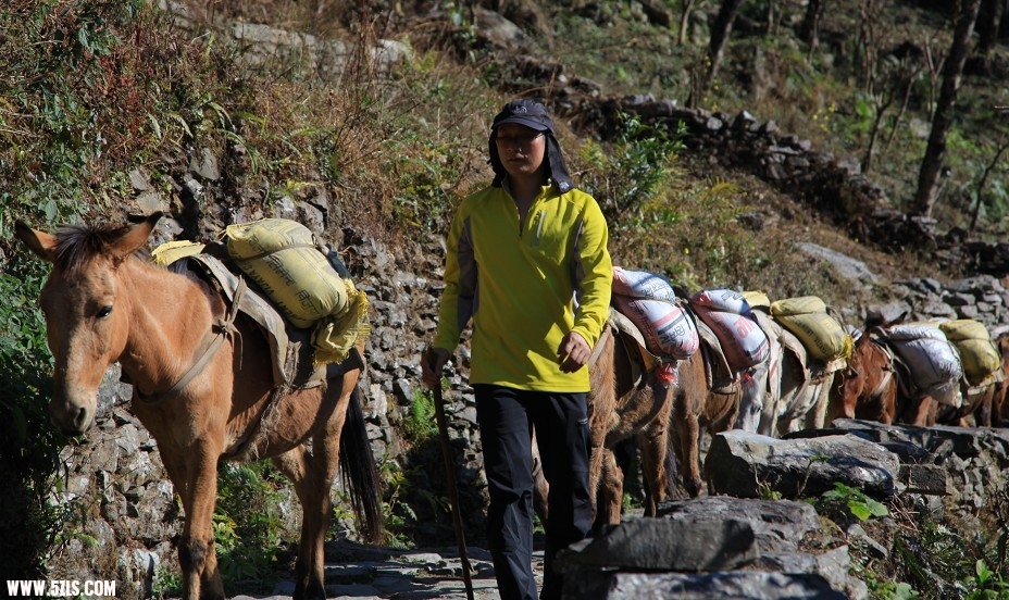 nepal08.jpg