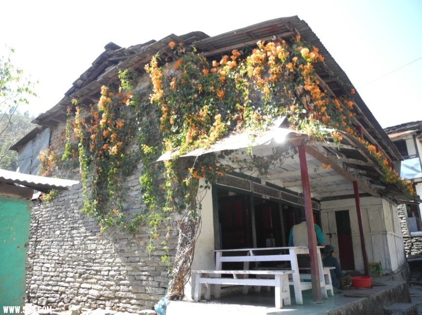 nepal14.jpg