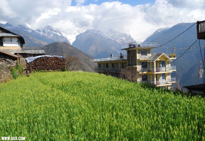 nepal26.jpg