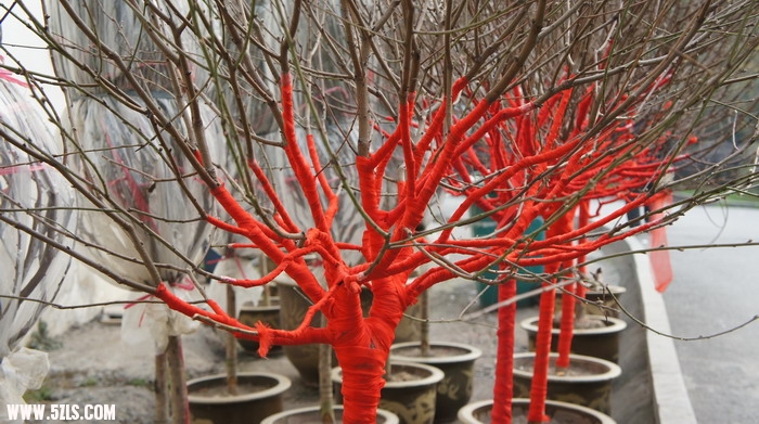 DSC00148_СС.JPG