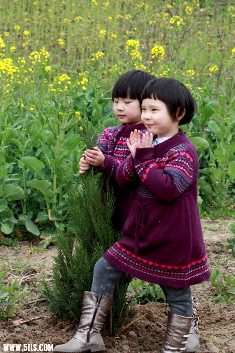 2011ֲ024.JPG